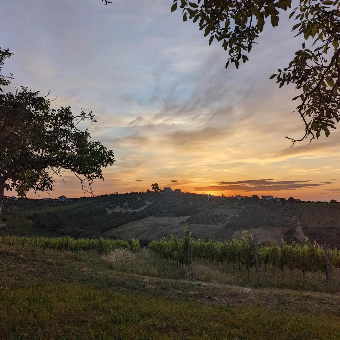 Agriturismo Torre Mannella - La Loggia Città Sant'Angelo Exterior foto
